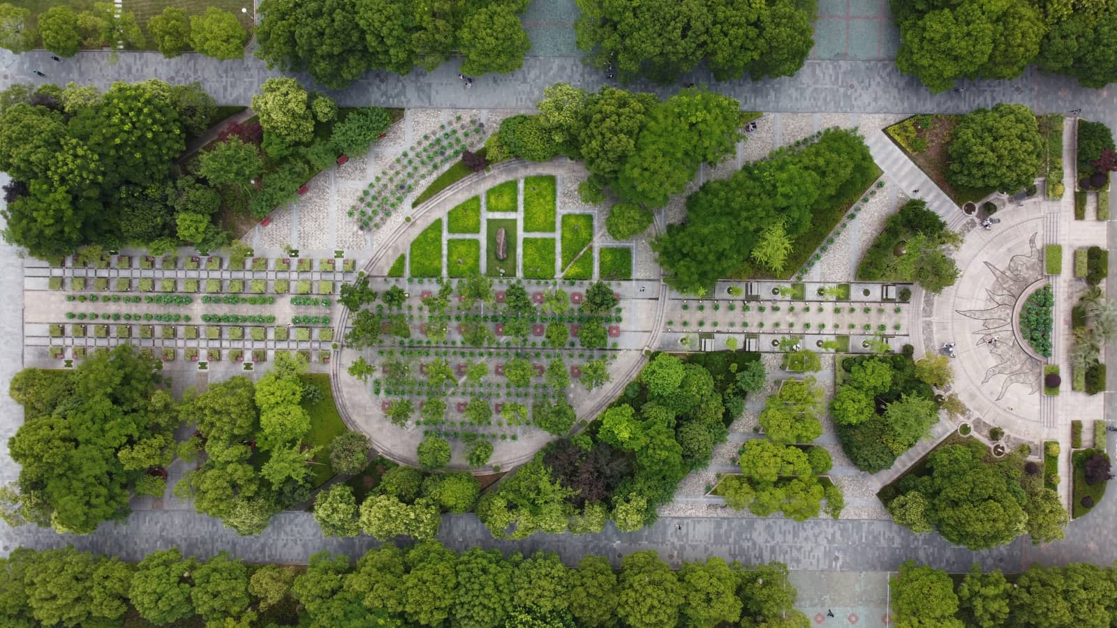Biophilic Design Principles That Revitalize Cities While Promoting Environmental Health