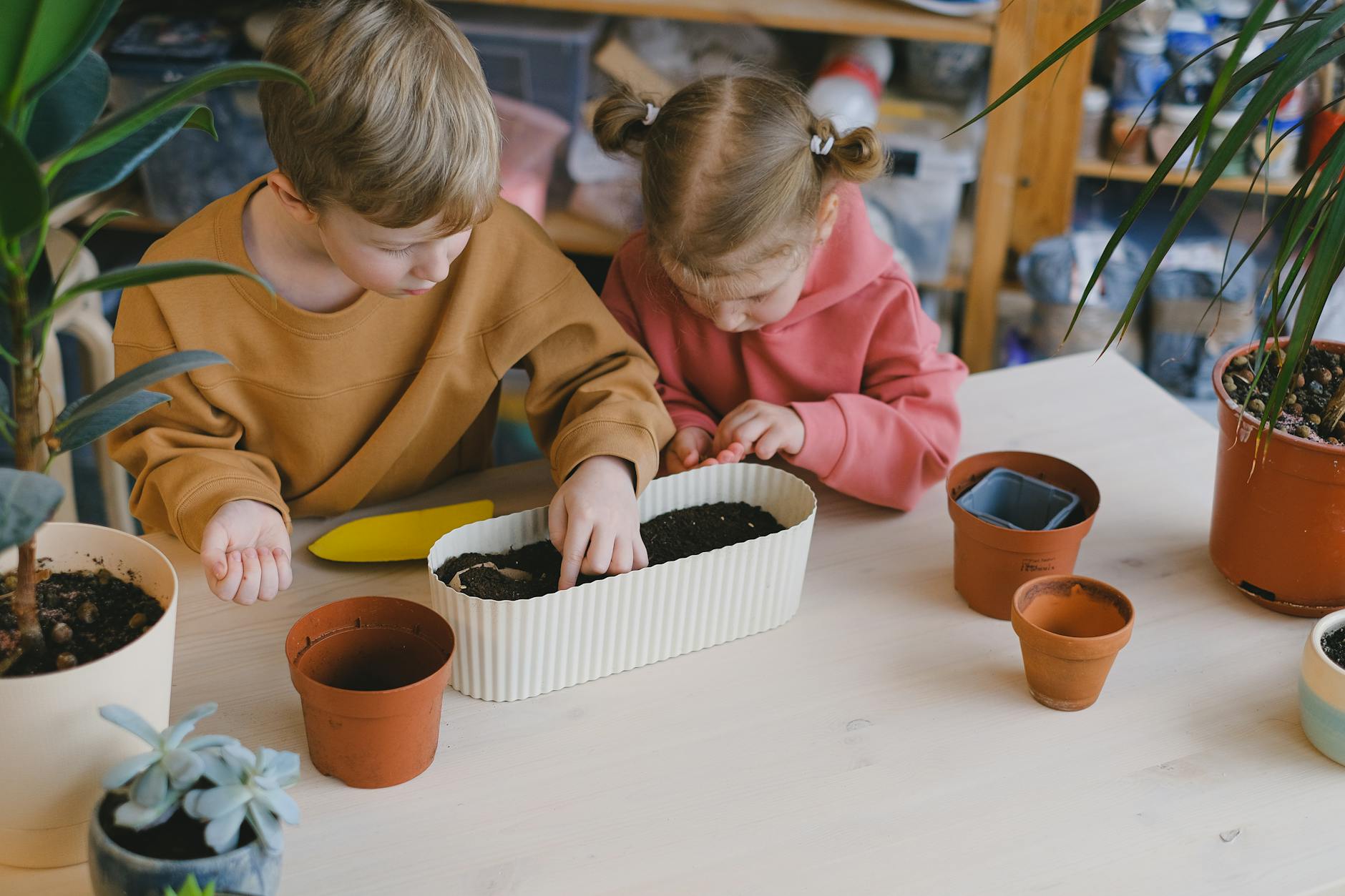 Exploring the Art of Indoor Gardening: A Guide to Creating Your Green Oasis