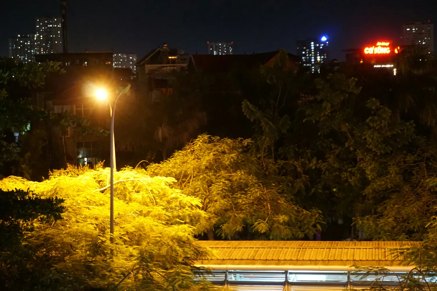 How Disruptive is Urban Light Pollution for Natural Habitats and Species?